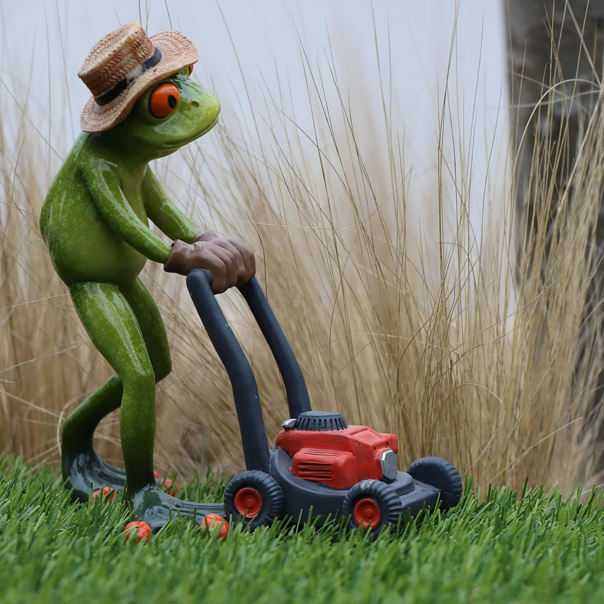 gardener mowing lawn professional service